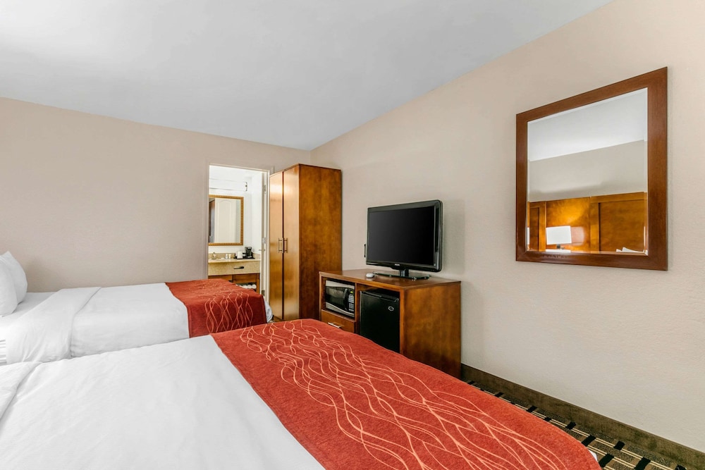 Comfort Inn Downtown Nashville - Music City Center 21/60