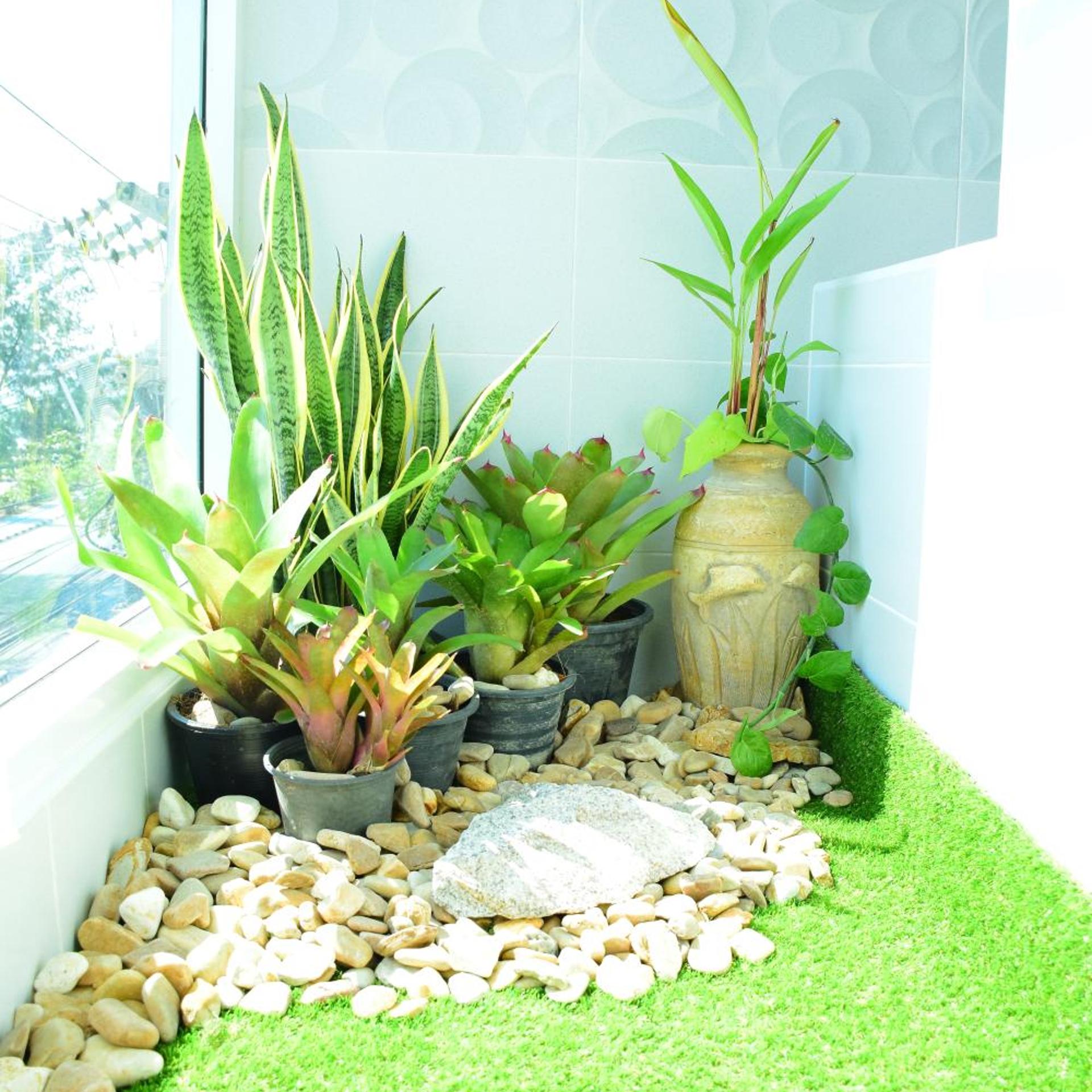 Goldenbeach Boutique Resort 64/68