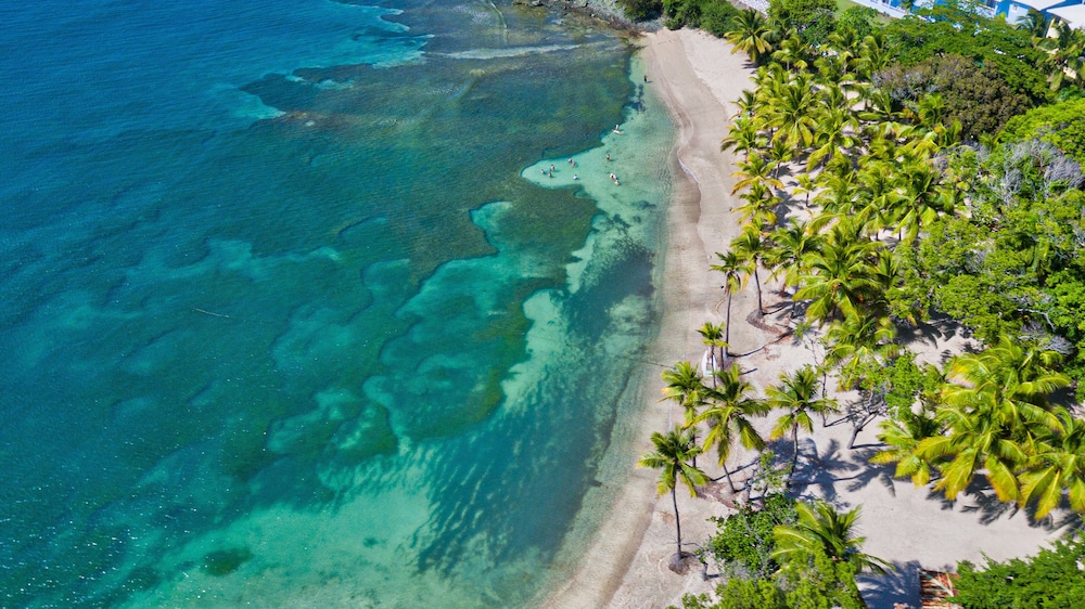 Senator Puerto Plata Spa Resort 40/50