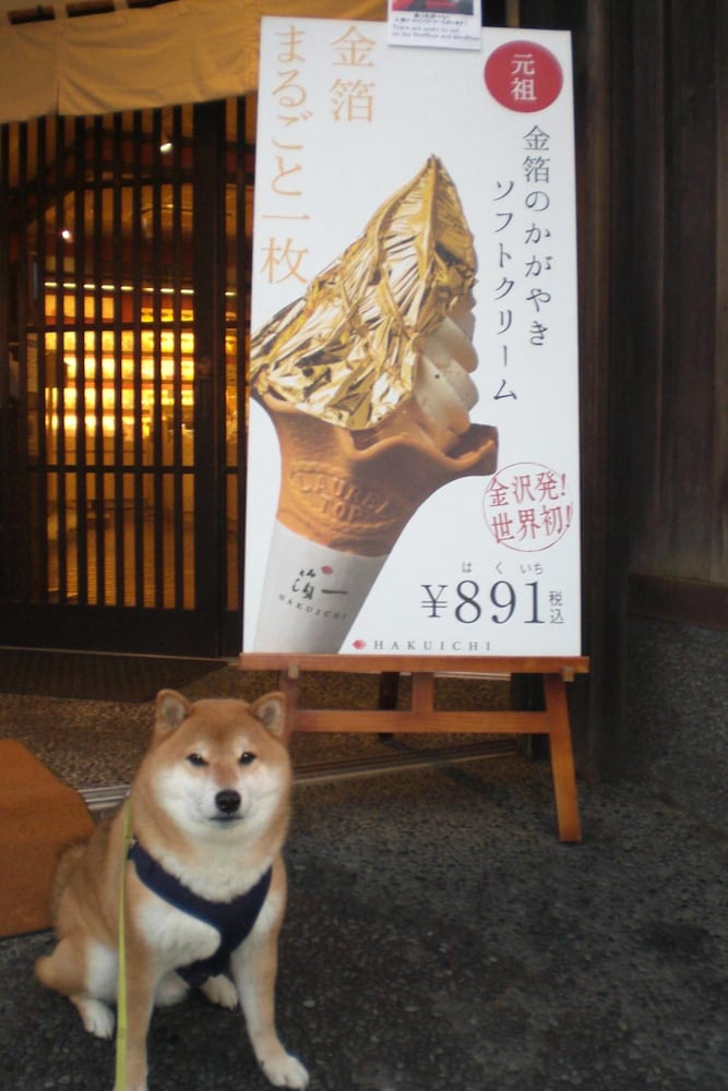 Kanazawa Share House Gaooo 7/18