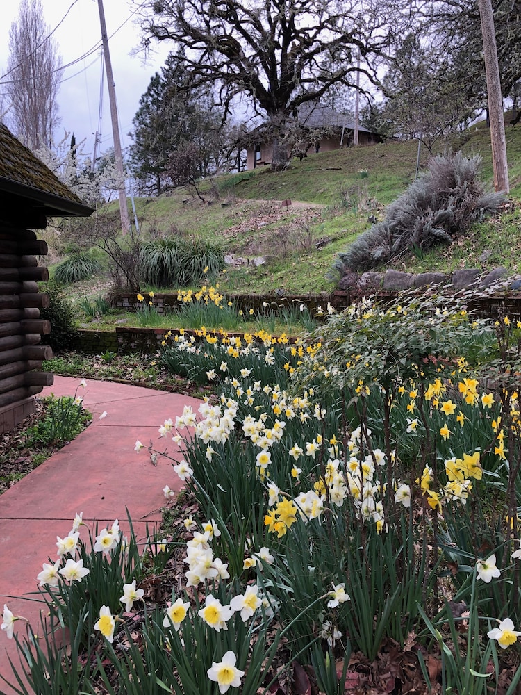 Heartwood Mountain Sanctuary 47/53