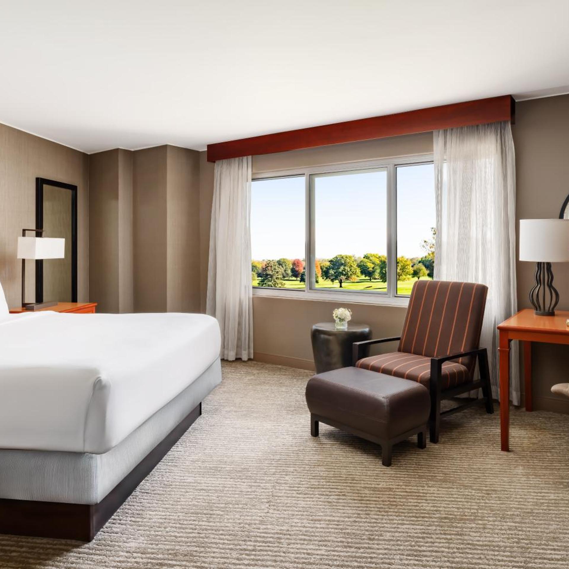 Studio, Suite, Single, King Bed