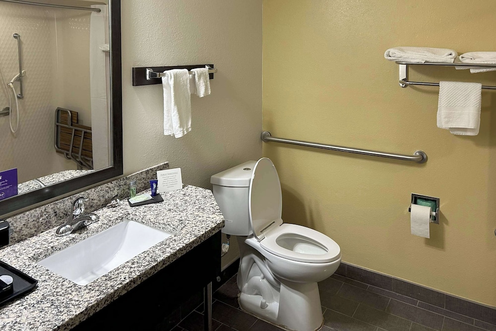 غرفة بسرير كينج لذوي الإعاقة، Sleep Inn Wilson near I-95 3/4