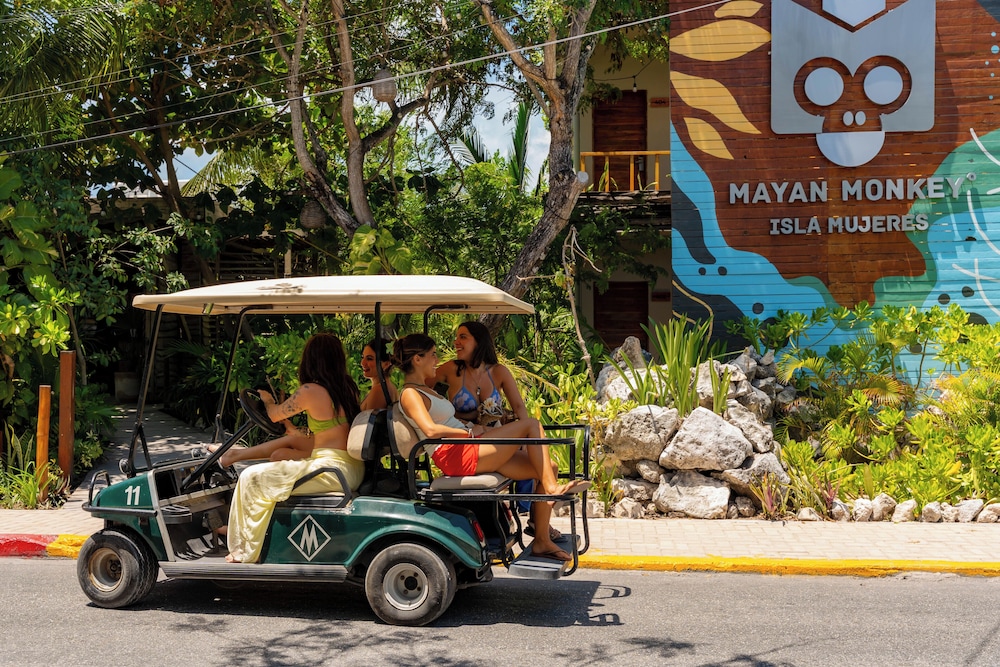 Mayan Monkey Isla Mujeres 35/50