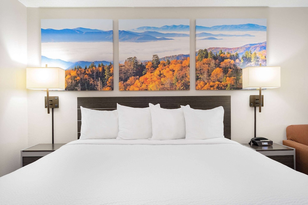 Days Inn by Wyndham Hamilton 25/37