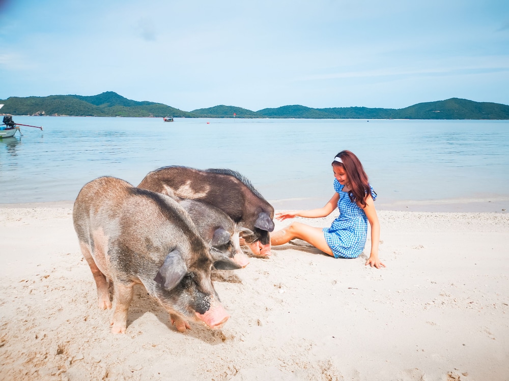 Avani Vacation Club Samui 76/81