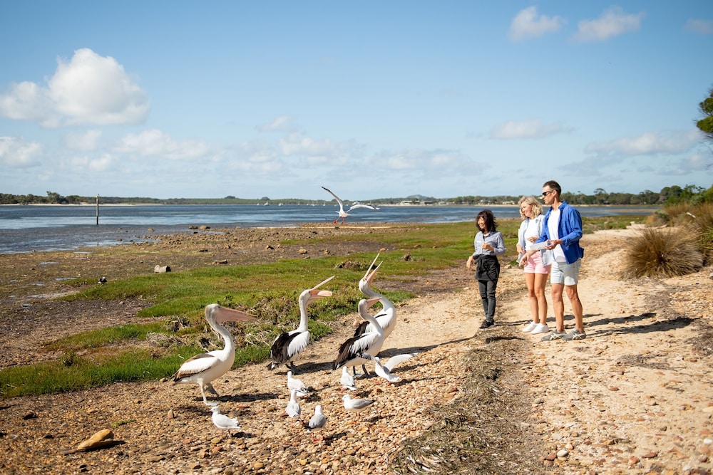 Mercure Kangaroo Island Lodge 45/50