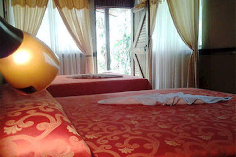 Ara Ambigua Lodge 18/50