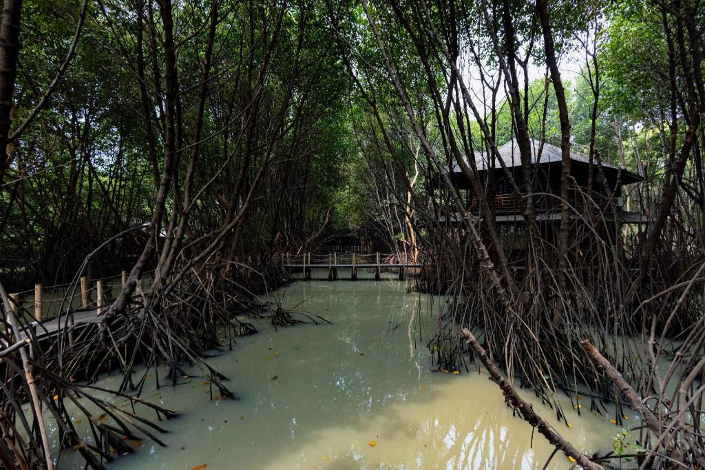 RedDoorz Resort @ Taman Wisata Mangrove 39/46