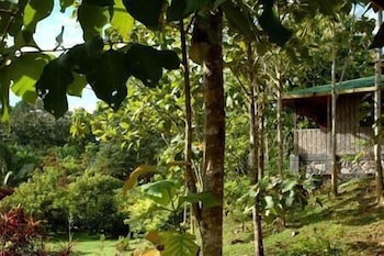 Sepilok Jungle Resort 30/62