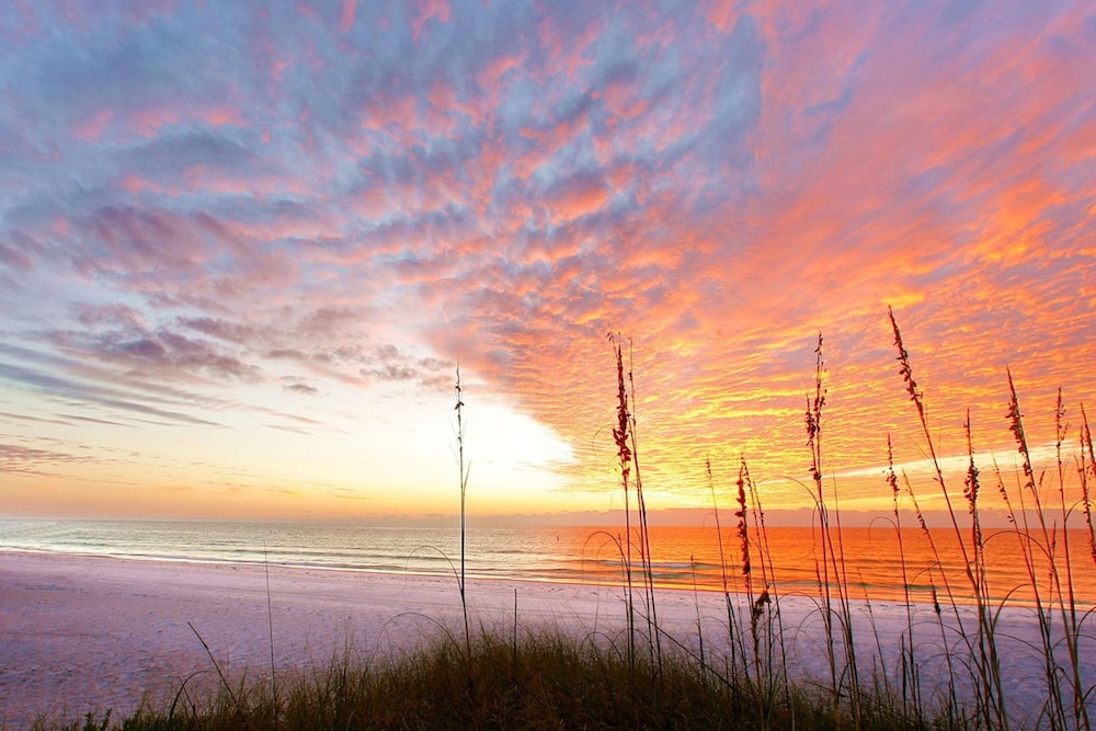 Hyatt Residence Club Sarasota Siesta Key Beach 43/50