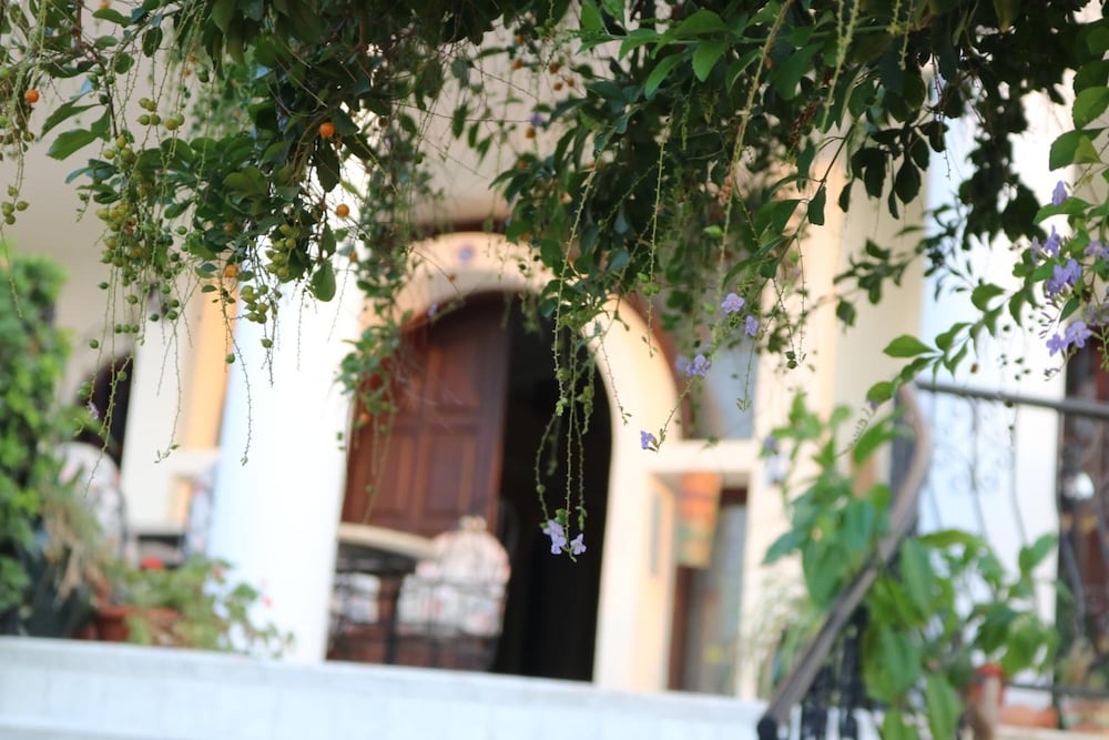 Meryems Hotel 4/41