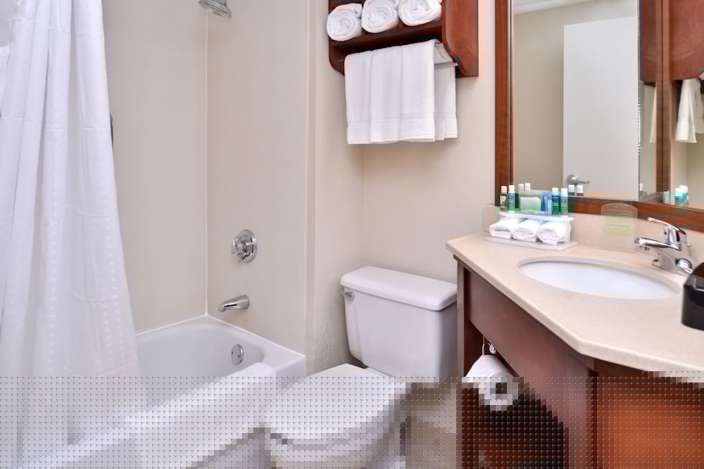 Holiday Inn Express Rochester University Area 17/48