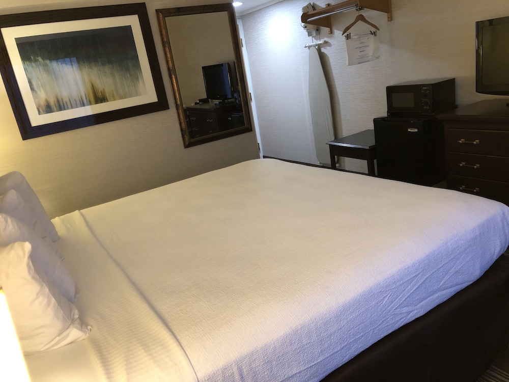 Quality Inn Bath NY 16/24