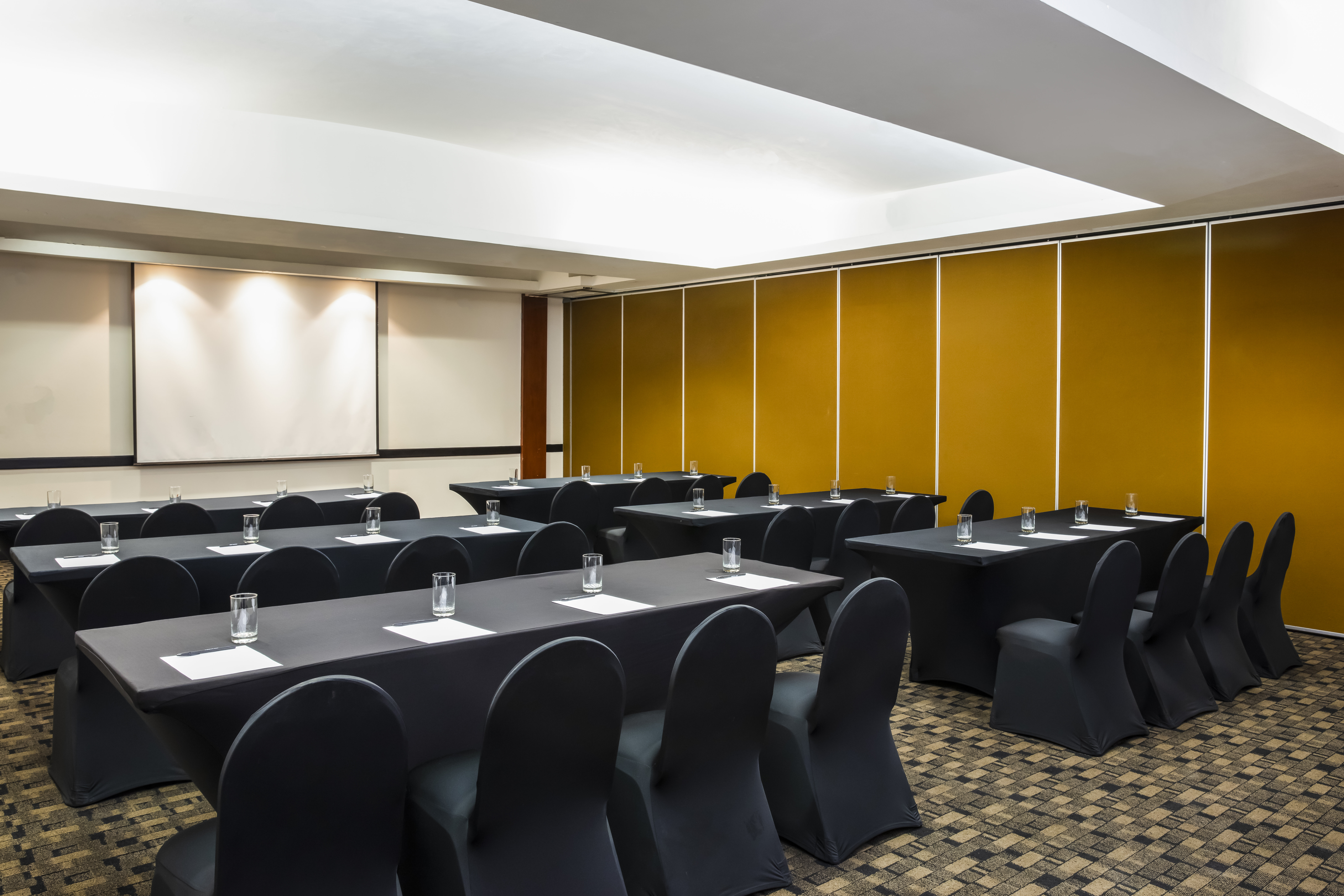 Fiesta Inn Express San Luis Potosi Oriente 34/50