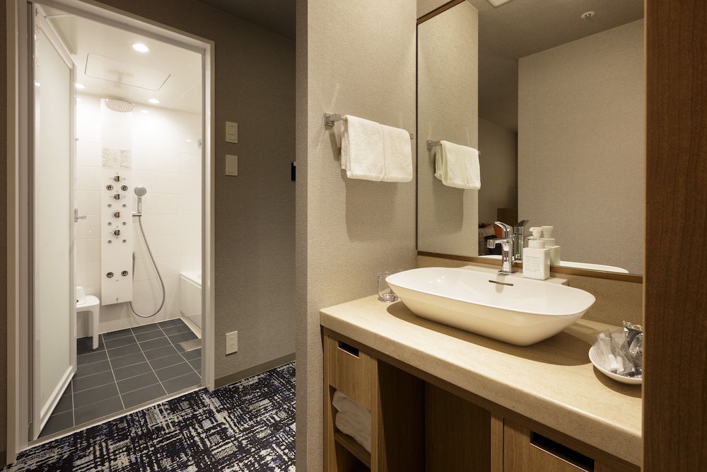 Hotel Forza Osaka Kitahama 9/62