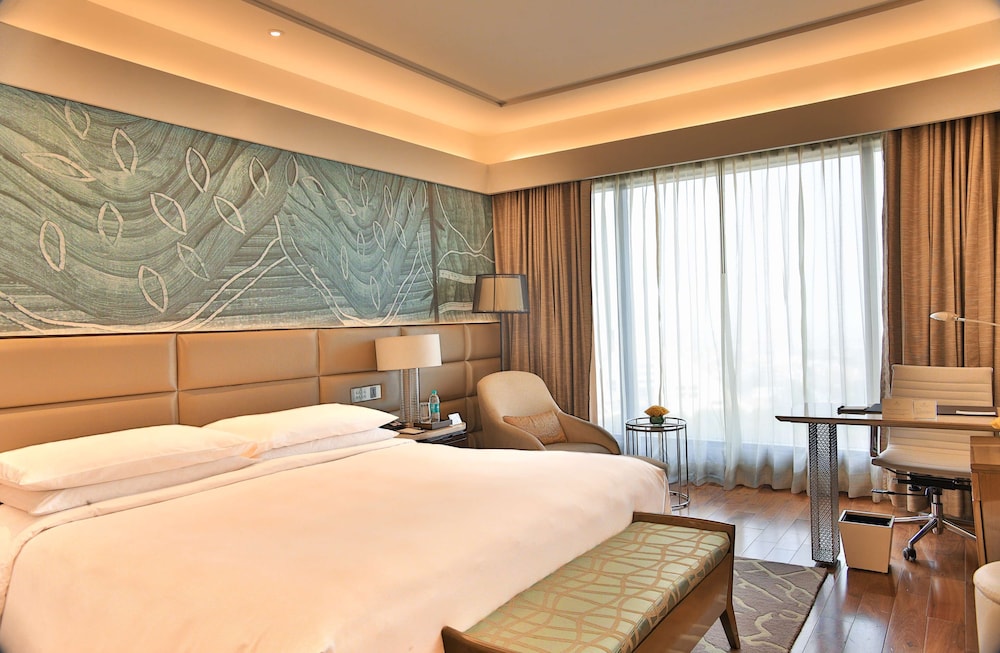 The Leela Ambience Convention Hotel Delhi 19/63