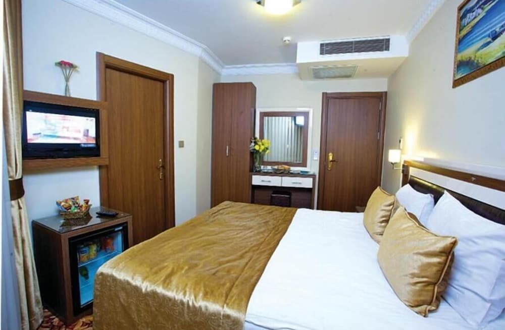 Grand Anatolia Hotel 11/37