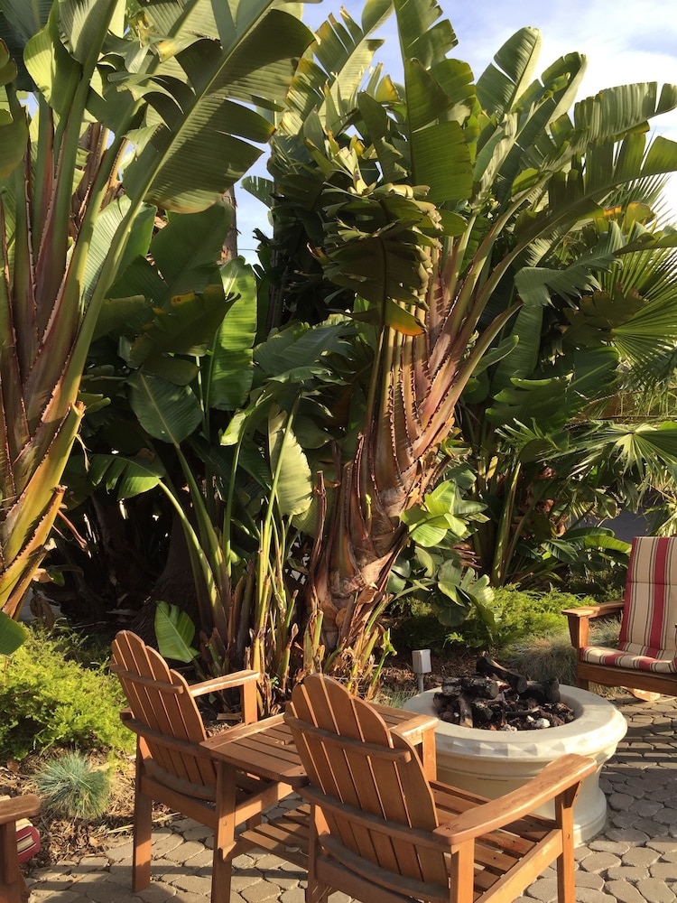 Beach Bungalow Inn and Suites 59/67