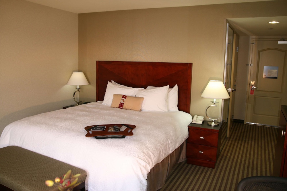 Hampton Inn Visalia 14/47