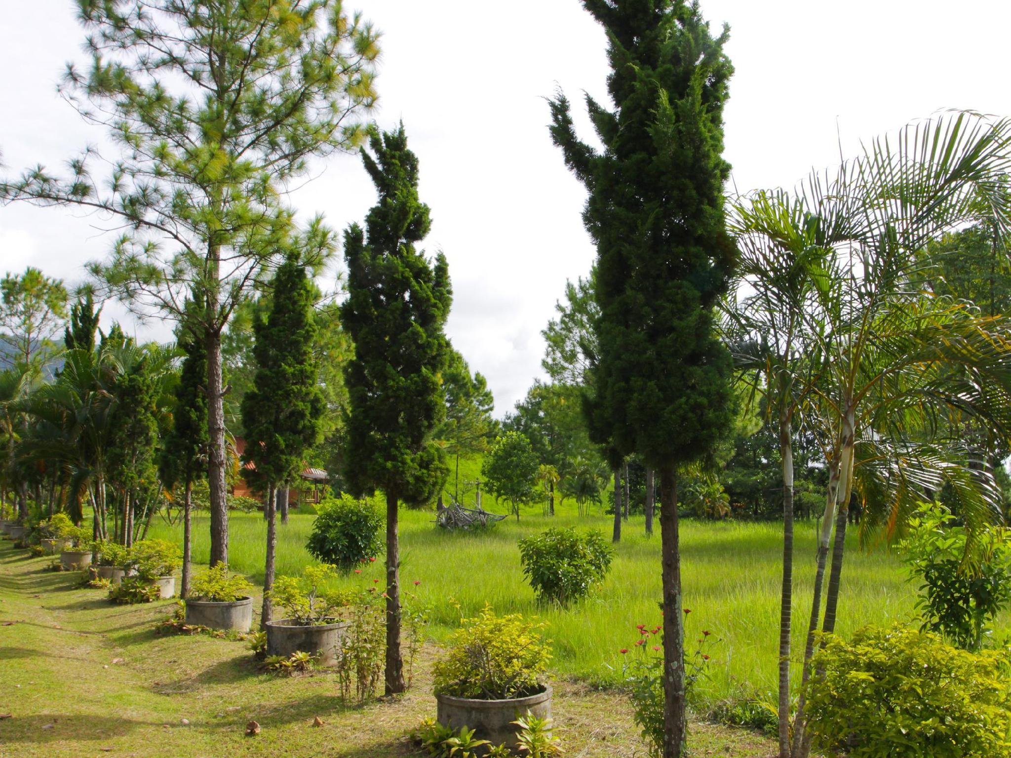 Phucome Resort 32/42