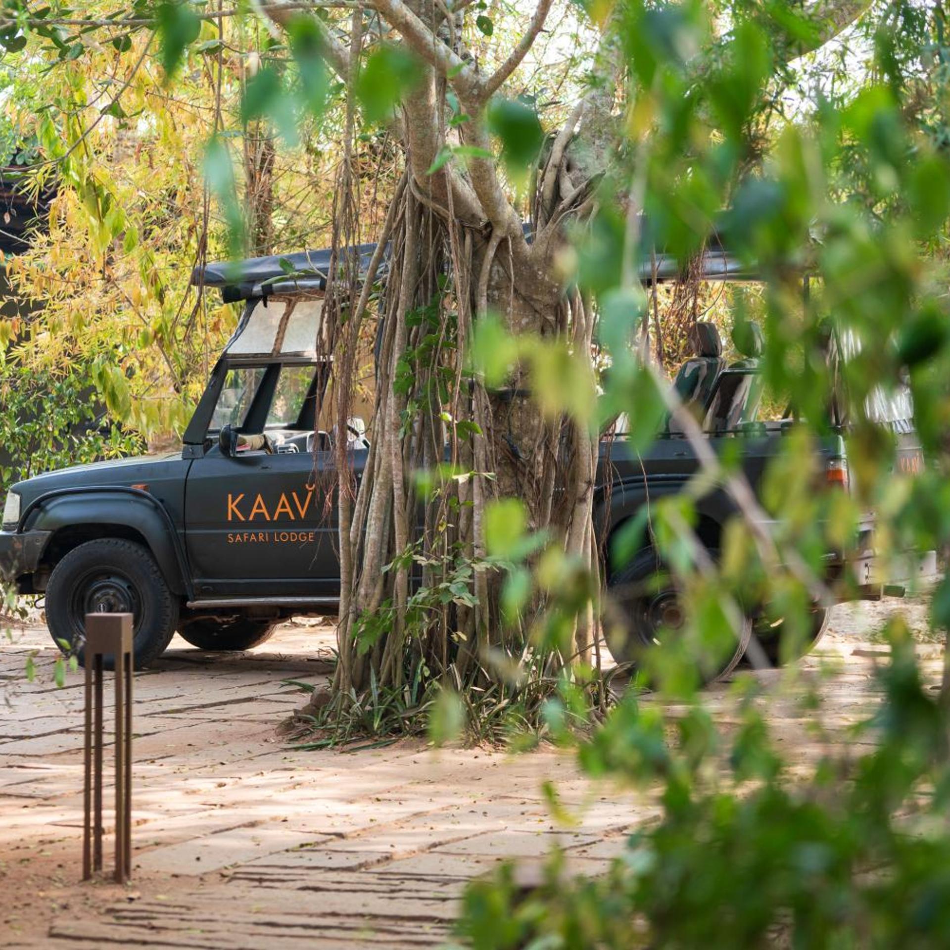 Kaav Safari Lodge 23/31