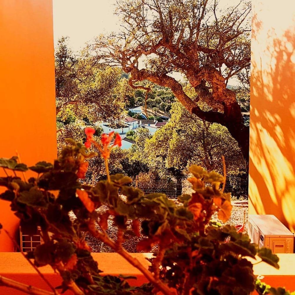 MONTE DA ESPERANCA 24/50
