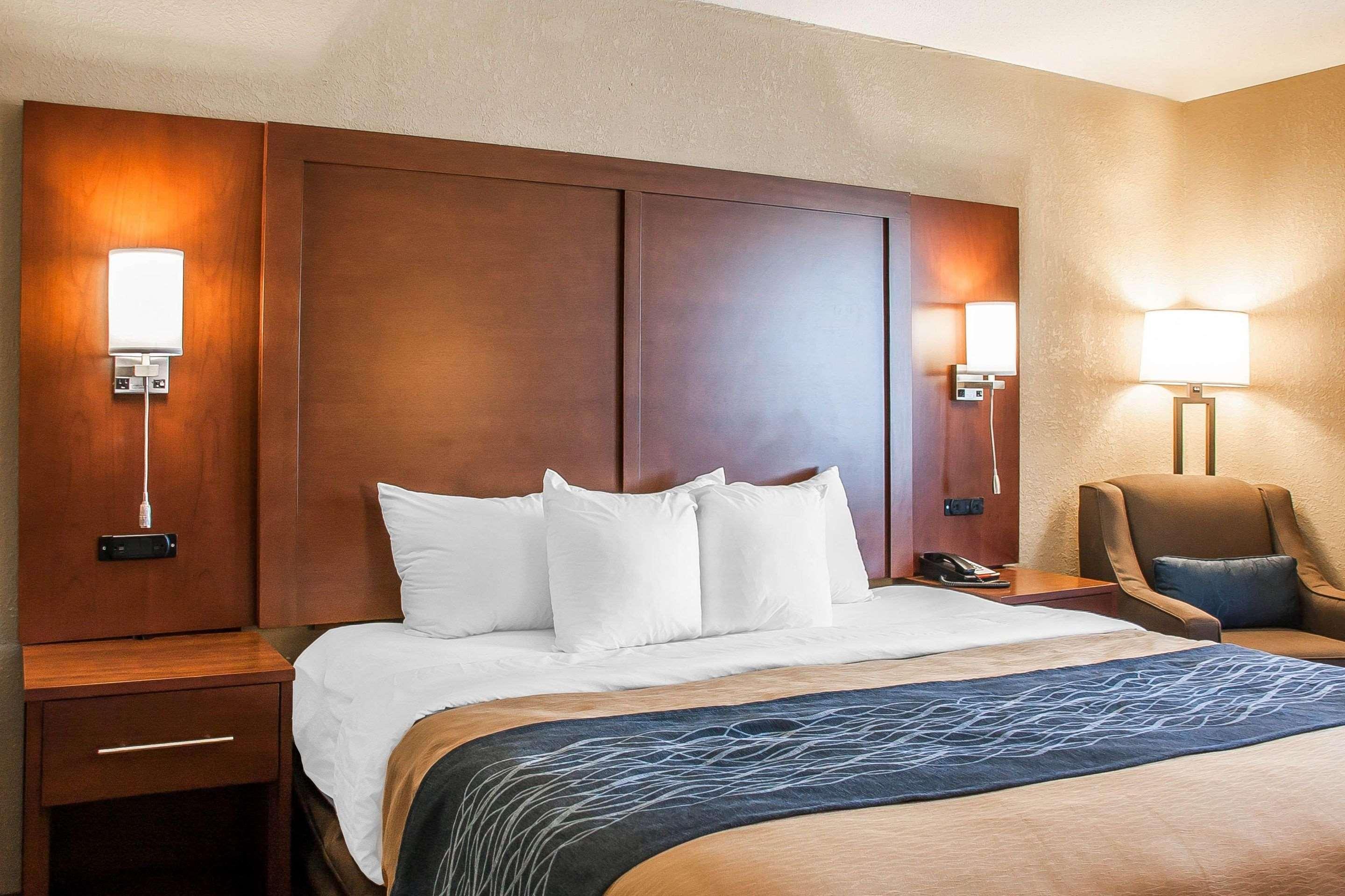 Suite, King Bed