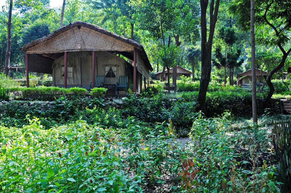 WH Corbett Ramganga度假村(WH Corbett Ramganga Resort) 图片2