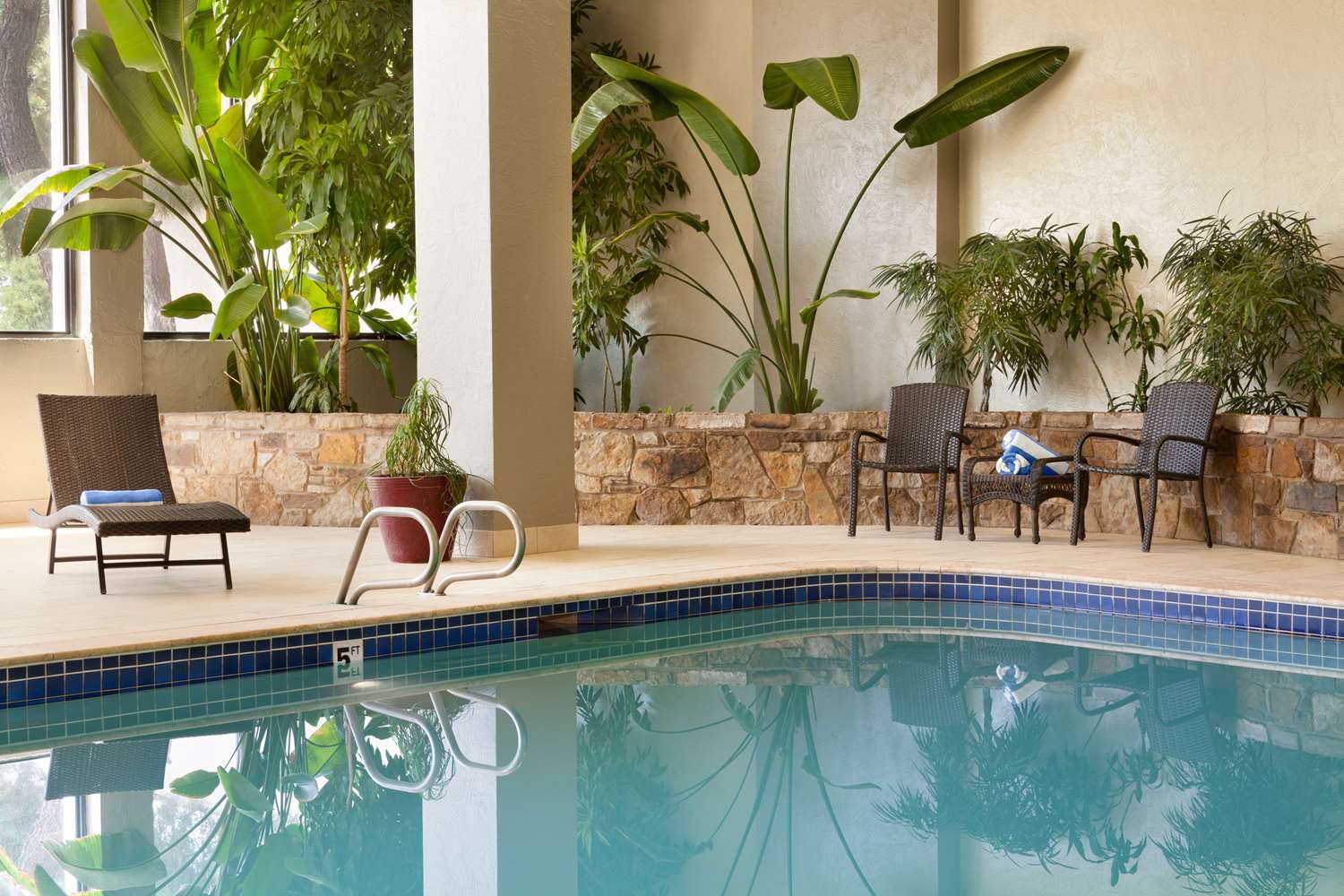 swimming pool spa