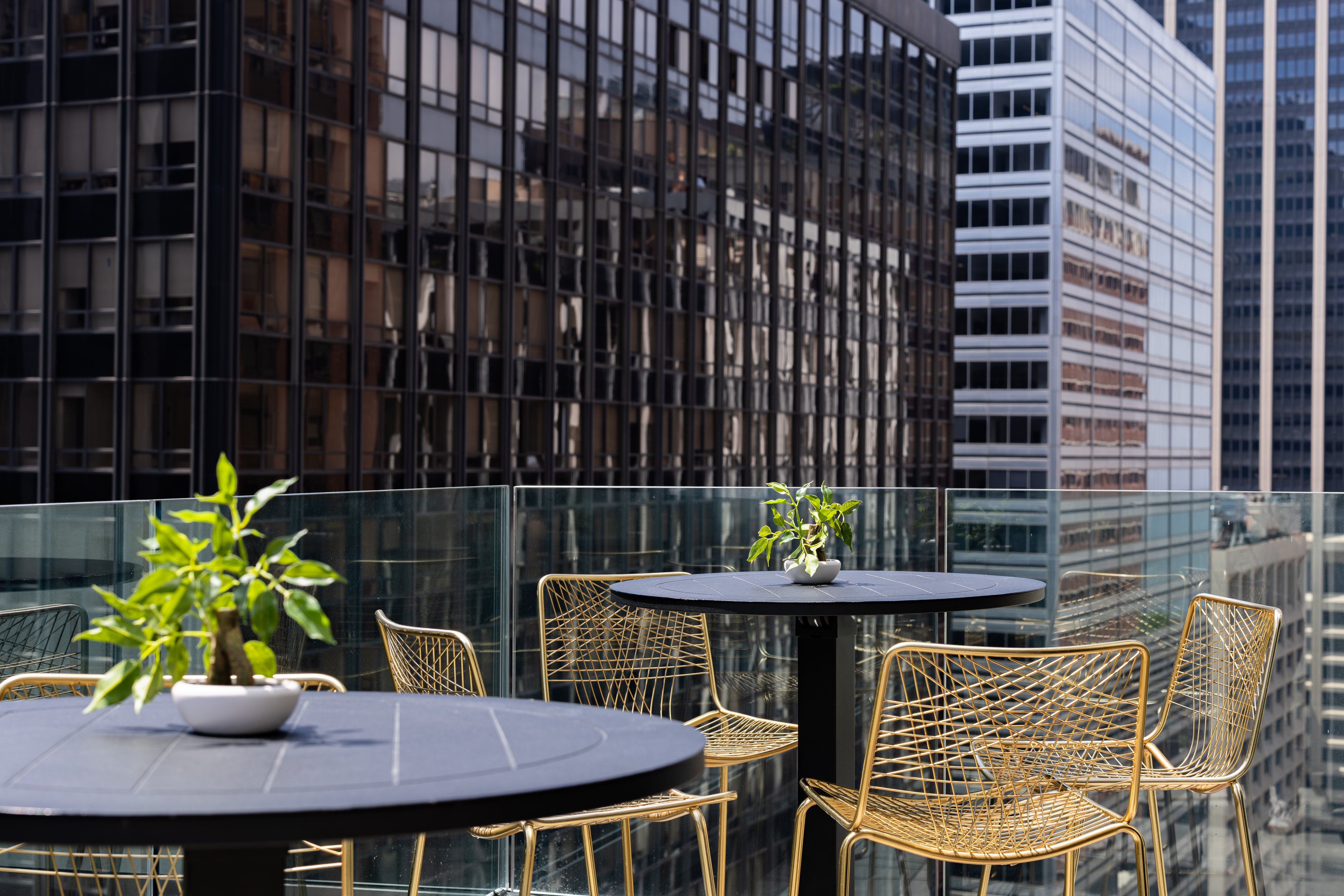 Hotel Indigo NYC Downtown - Wall Street 61/66