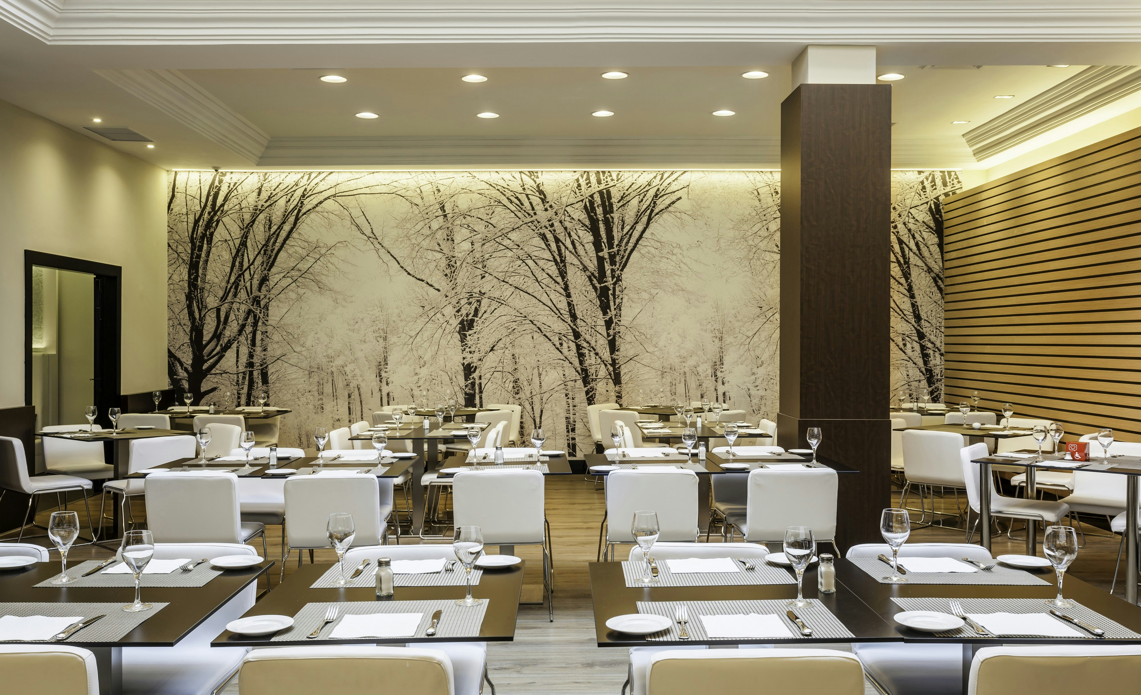 Ilunion Suites Madrid 19/26