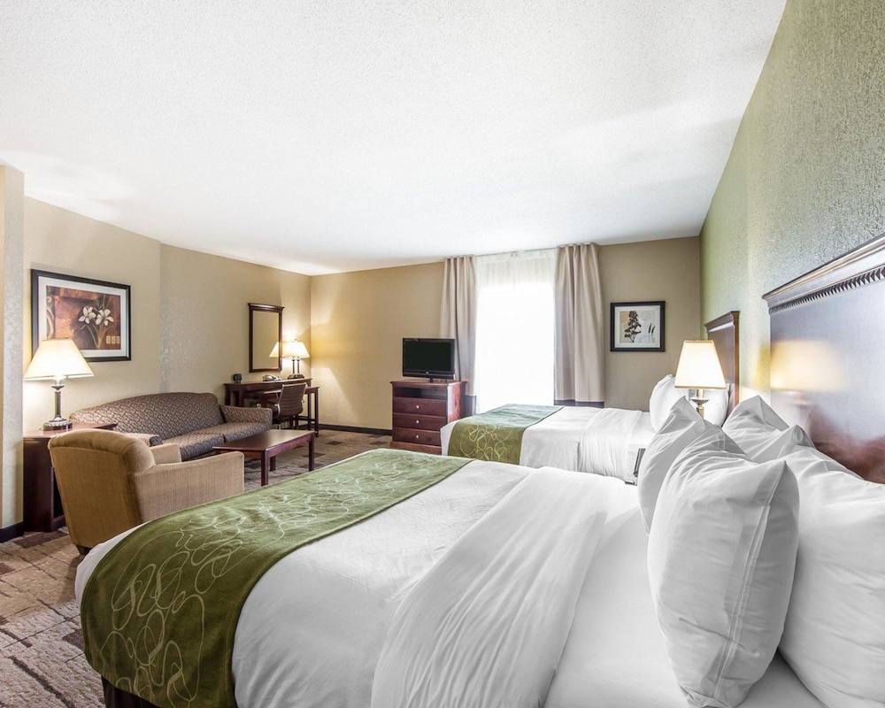 Comfort Suites Kodak Sevierville 9/40