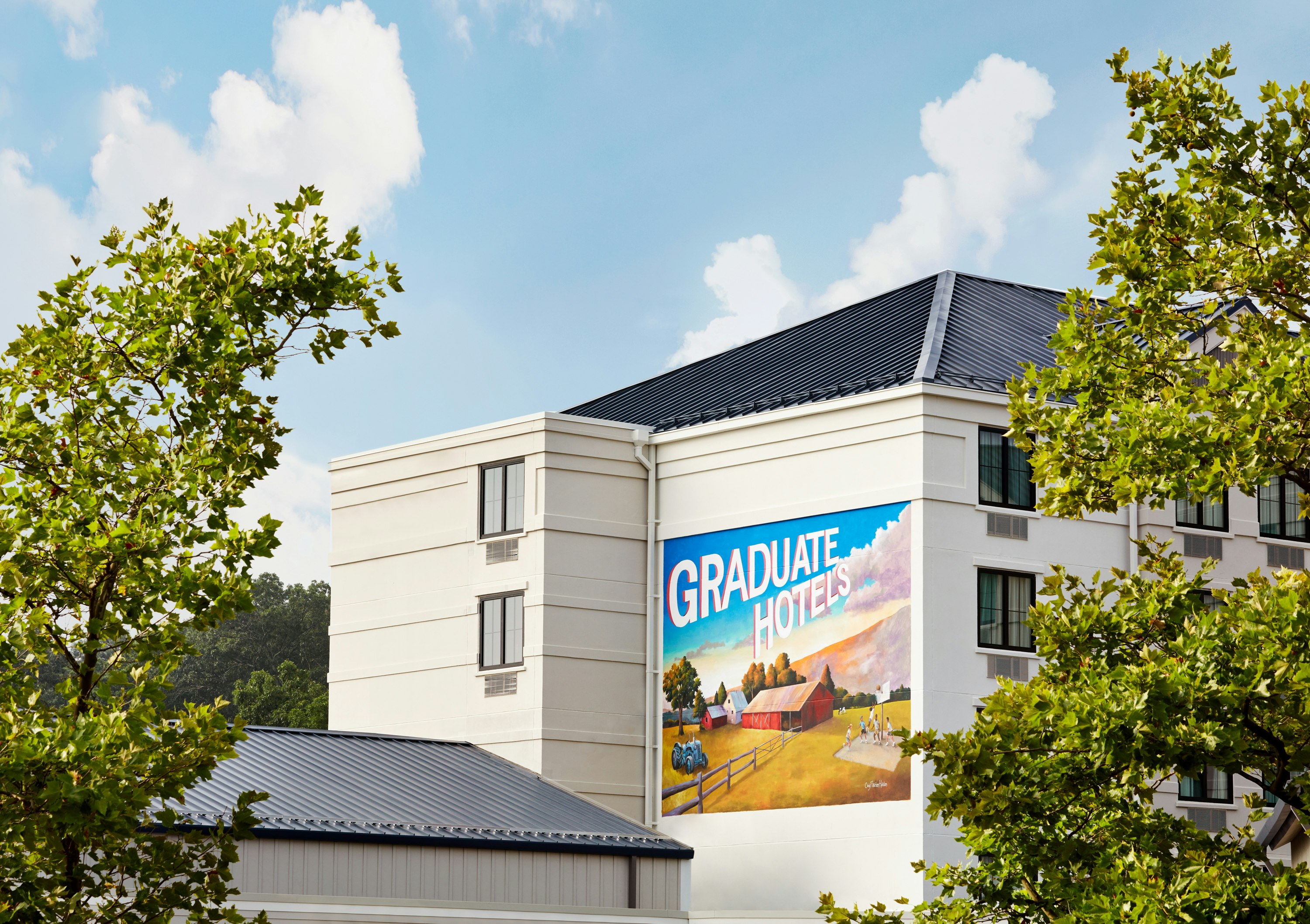 Graduate by Hilton Storrs 1/81
