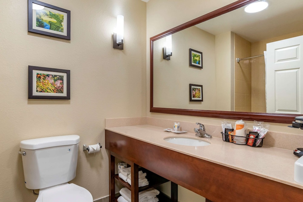 Comfort Suites Niceville Near Elgin Air Force Base 21/61