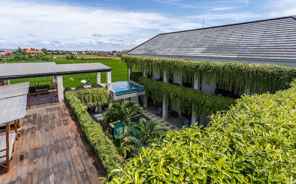 Canggu Hype 35/48