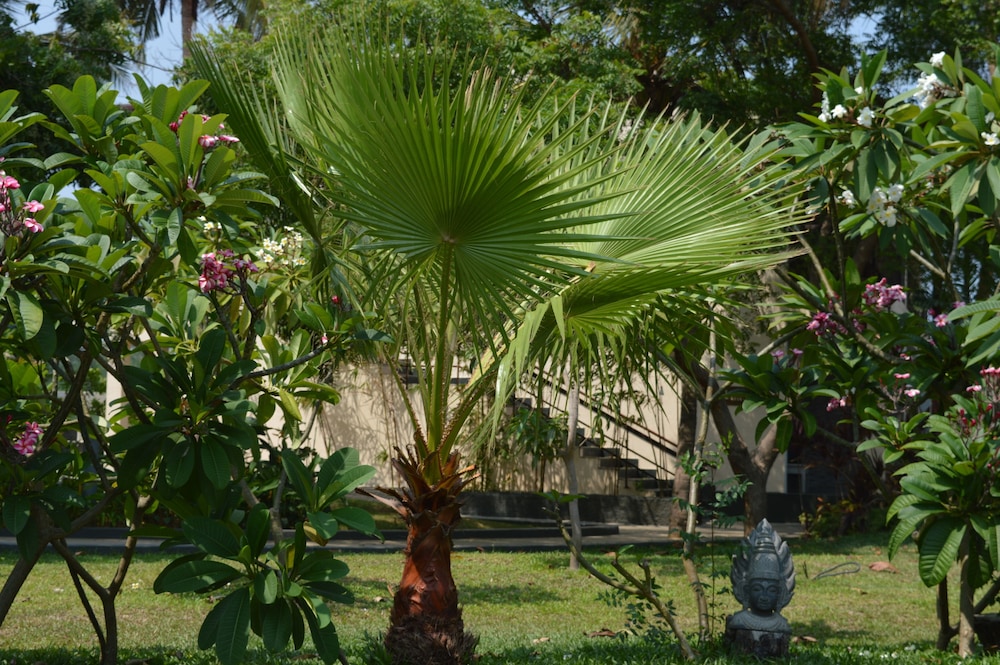 Welcomhotel by ITC Hotels, Kences Palm Beach 39/48