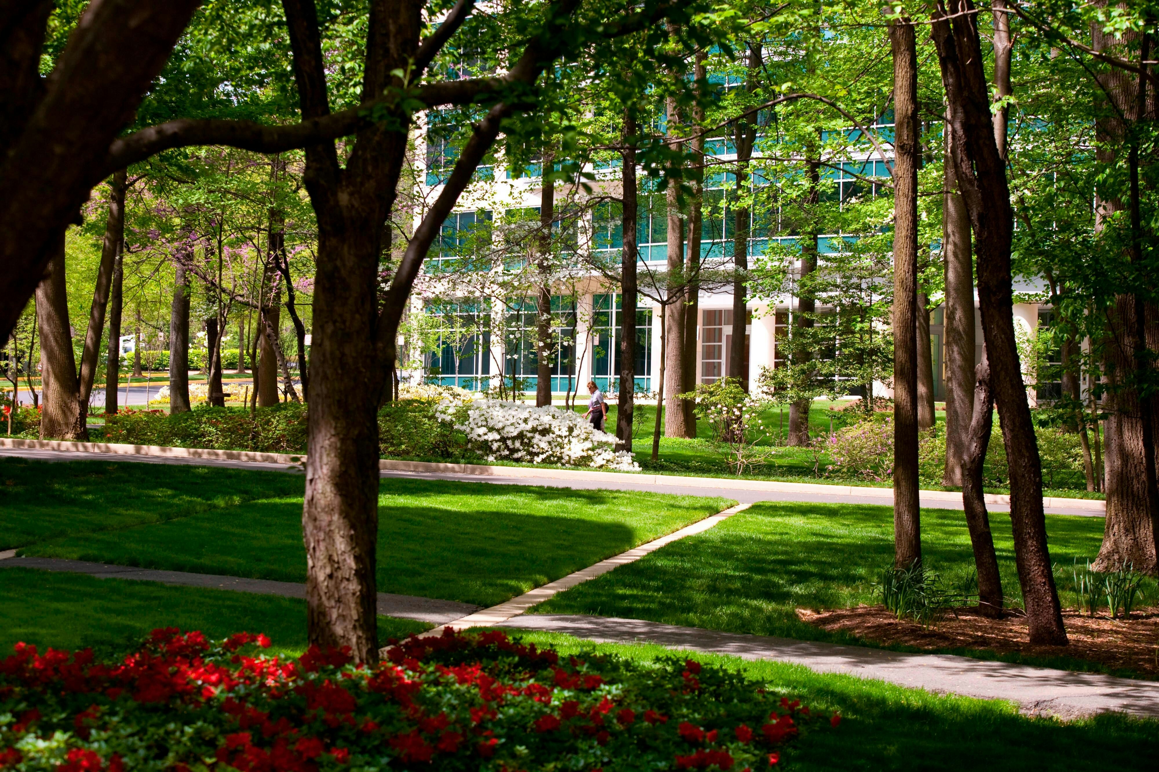 Falls Church Marriott Fairview Park 10/11