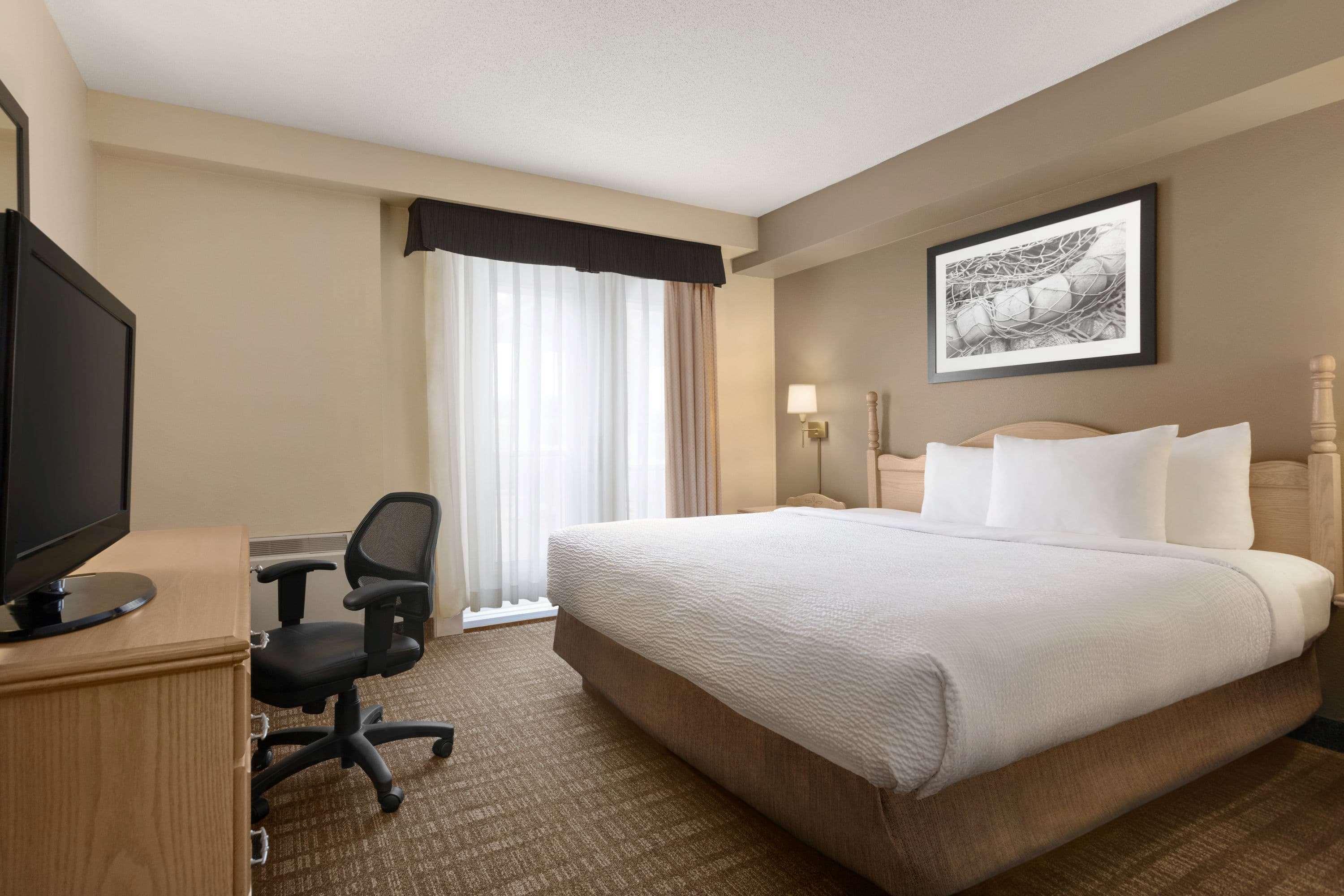 Room, King Bed 2/2