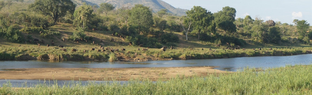 Kambaku River Lodge 45/50