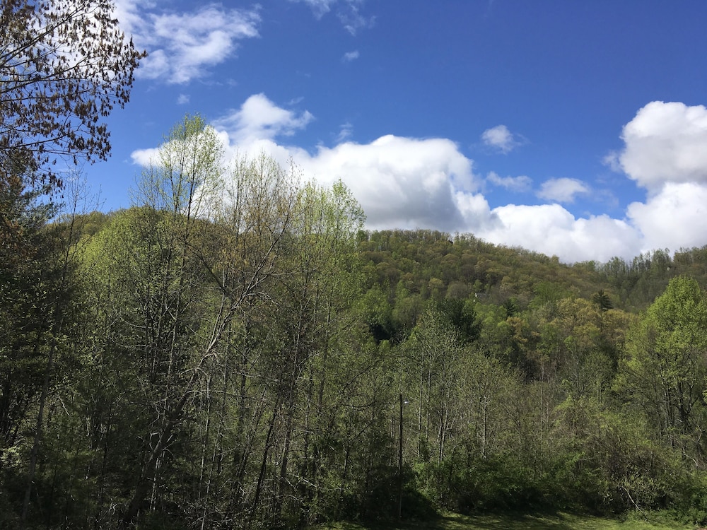 Rodeway Inn & Suites 14/19