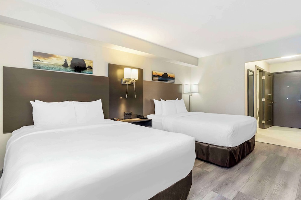 Room, Multiple Beds