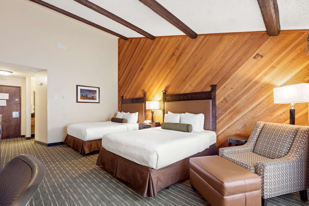 Best Western Plus Tree House 20/43