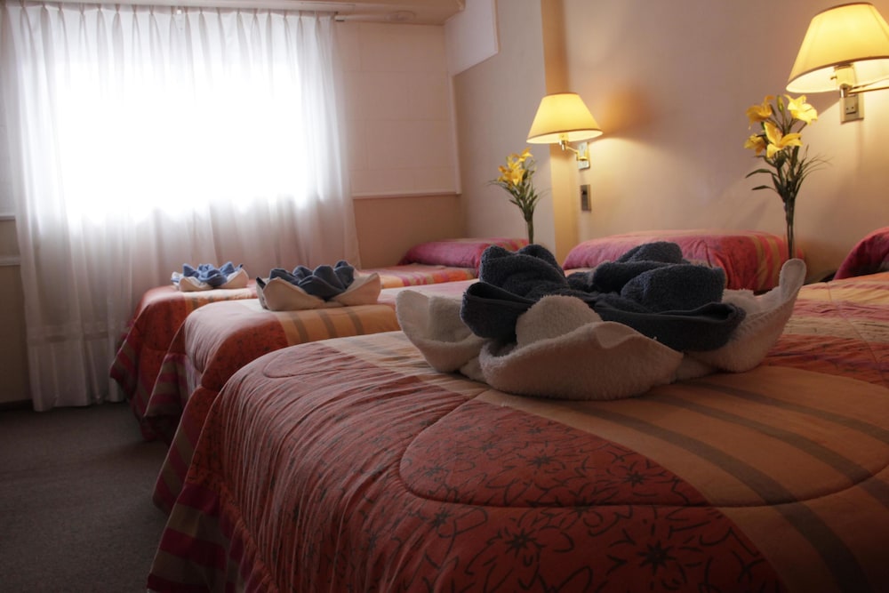 Hotel Bertaina 22/26