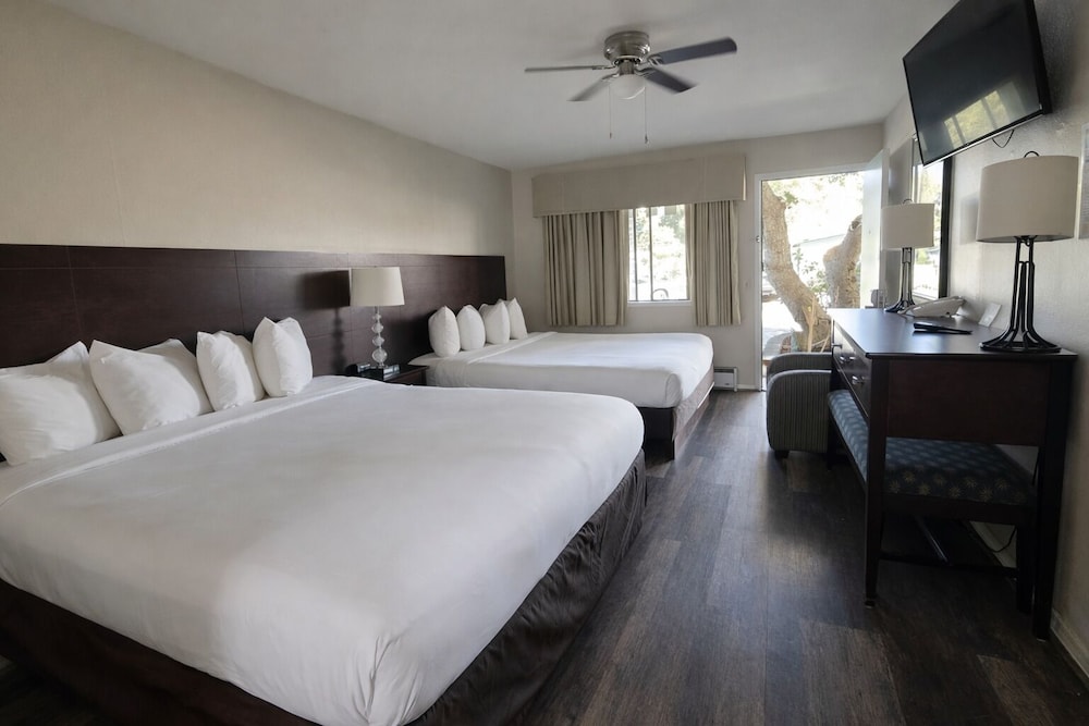 STANDARD, 2 QUEEN BEDS