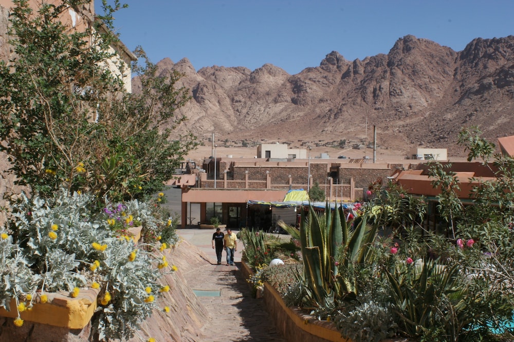 Catherine Plaza 11/48