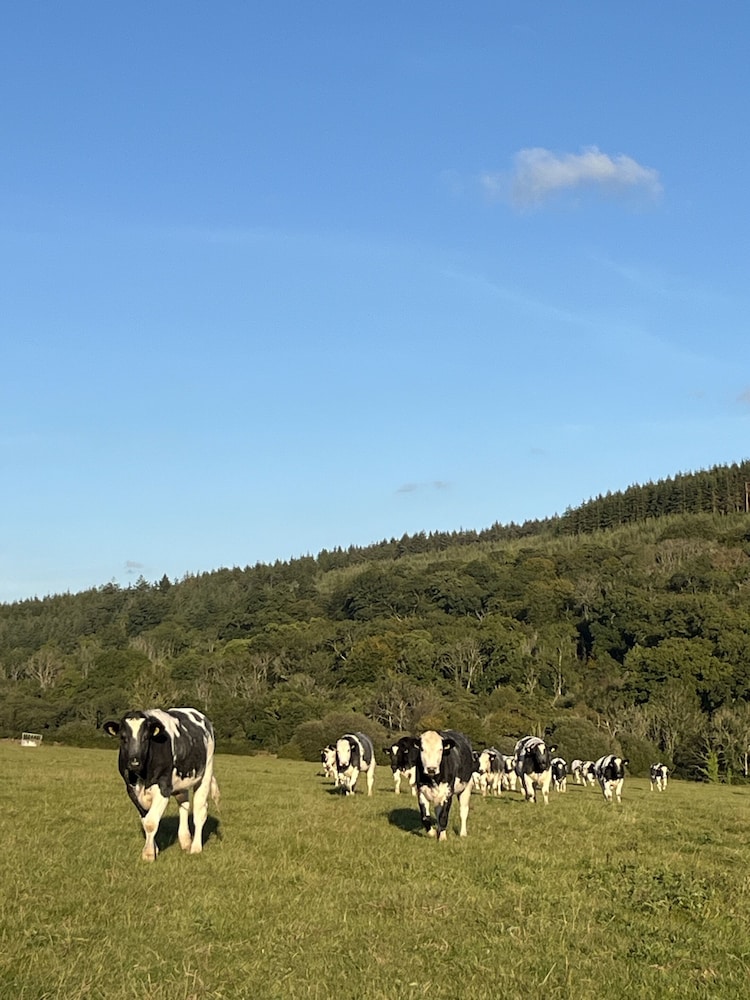 Lower Thornton Farm 22/46