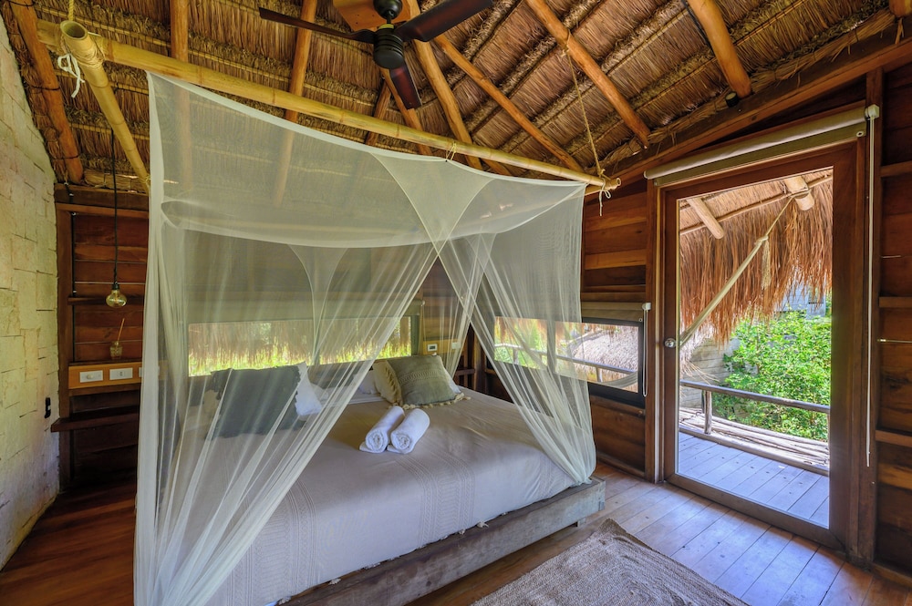 Vida Silvestre Tulum 9/50