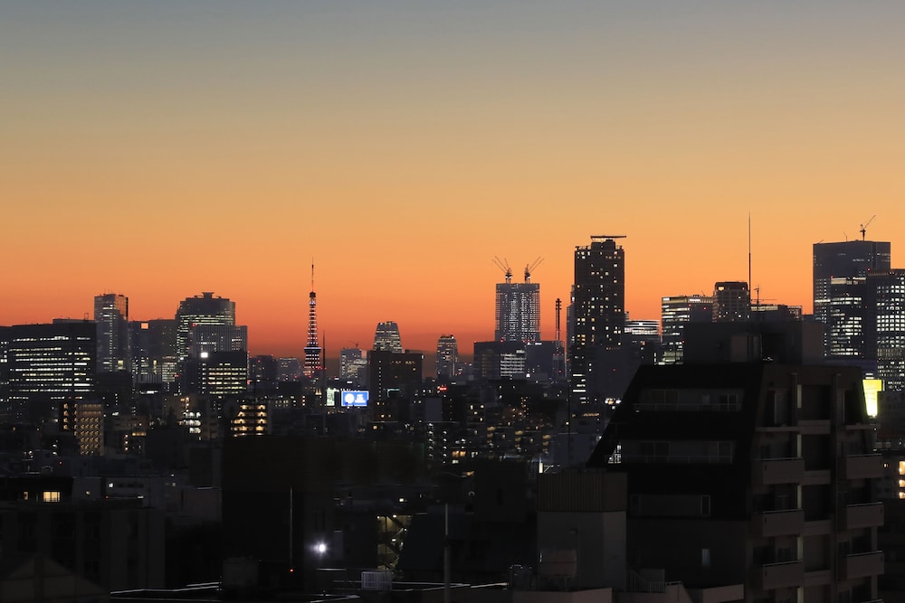 Hotel Famy Inn Kinshicho 65/70