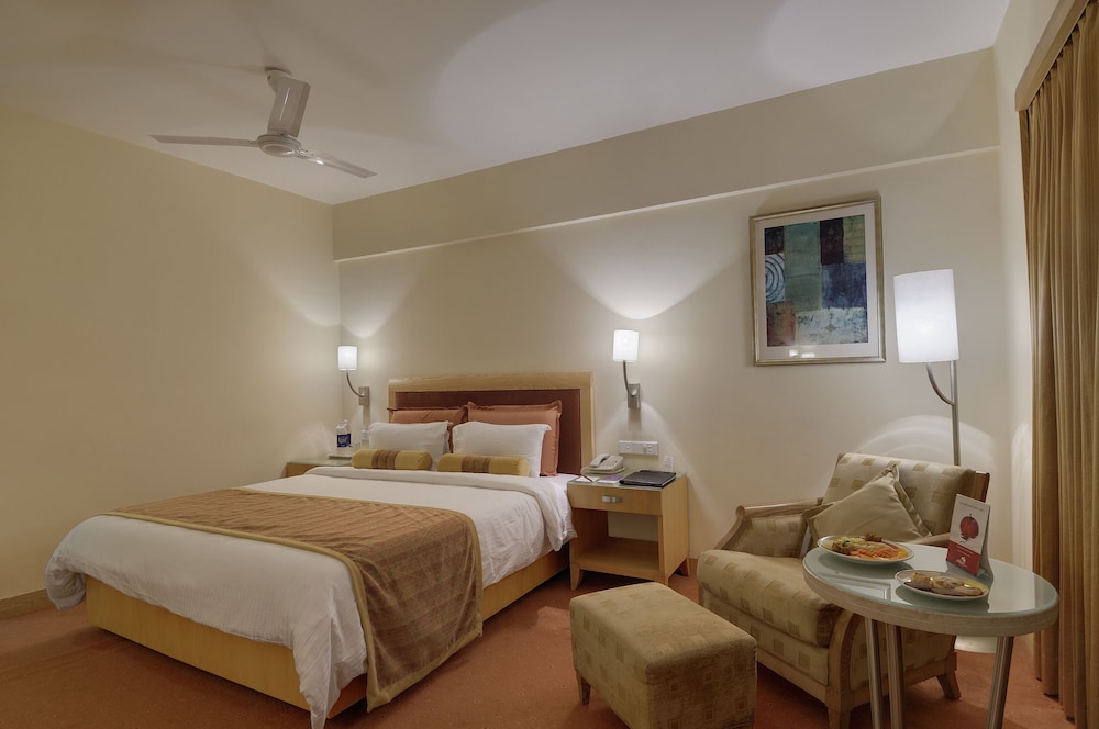 Pride Plaza Hotel Ahmedabad 17/36